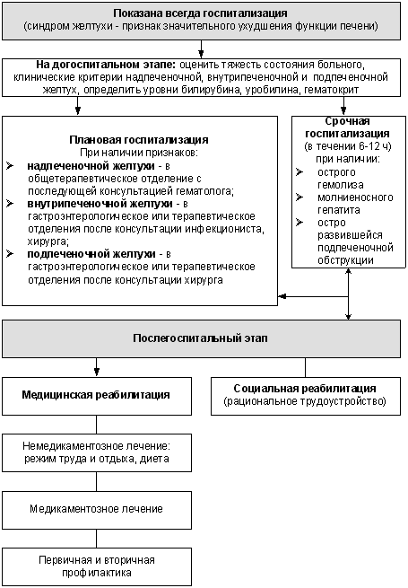 диета для людей со стихией воздух